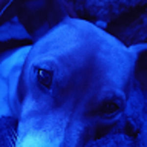 Meet your Posher, Jayden